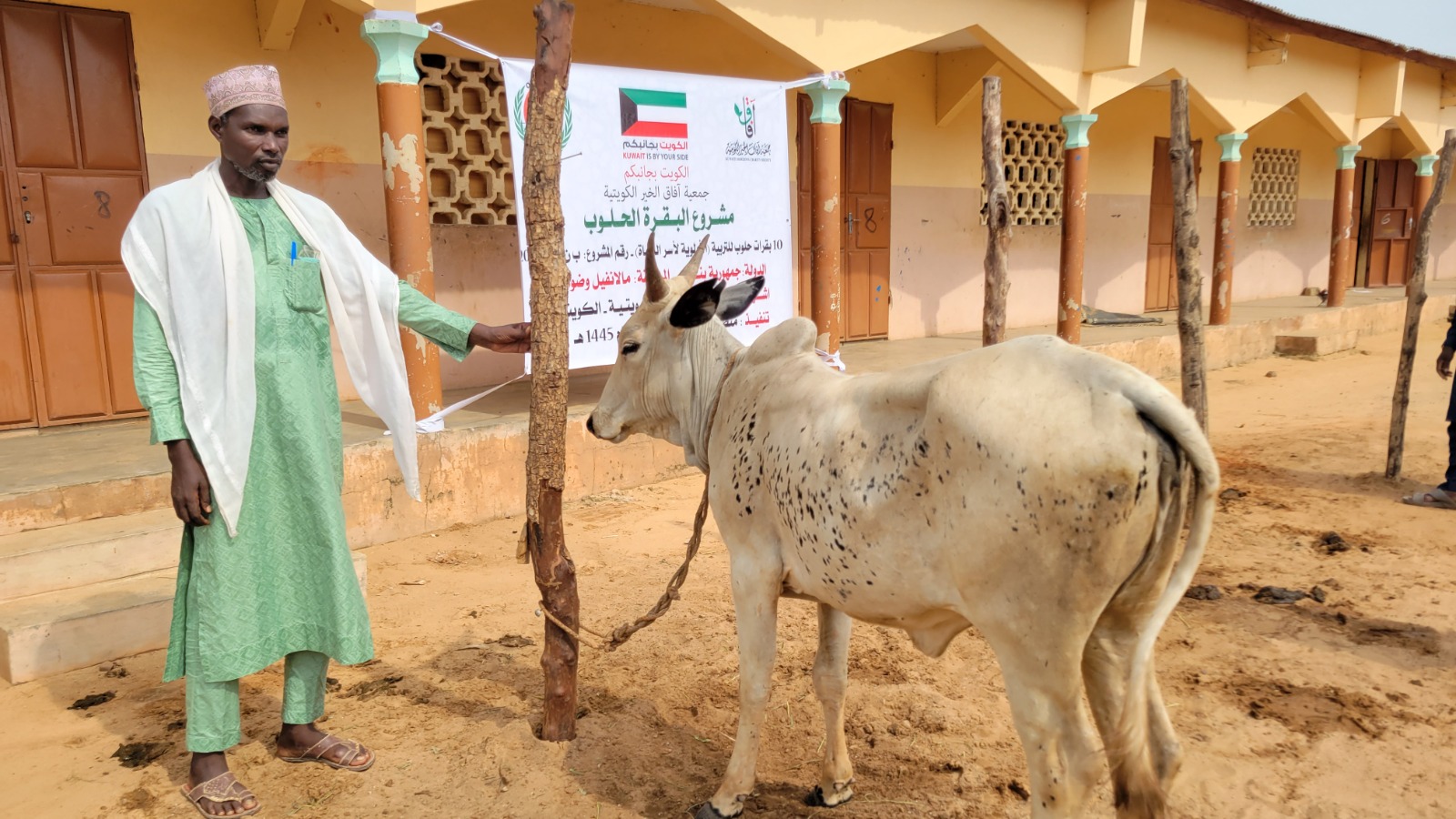 شراء بقرة لصالح مسجد علي بن آبي. طالب رضي الله عنه