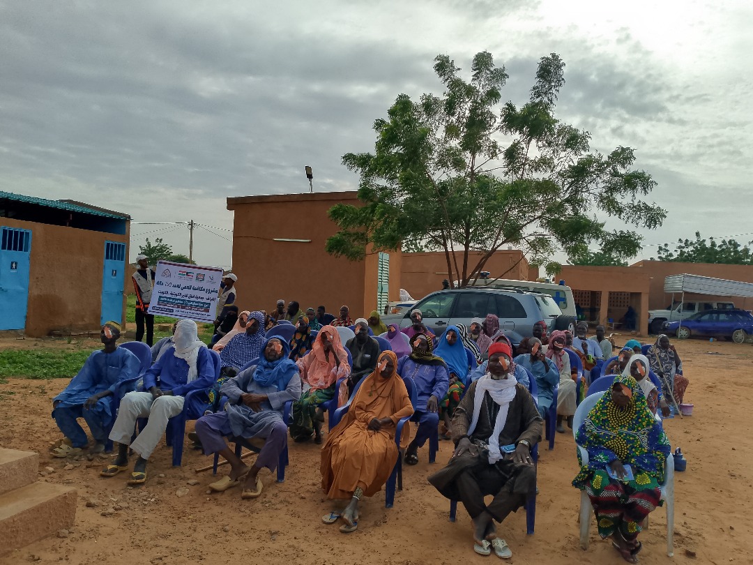 عمليات العيون - النيجر