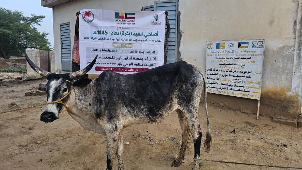 شراء بقرة أضحية لصالح مسجد حصه وسليمان