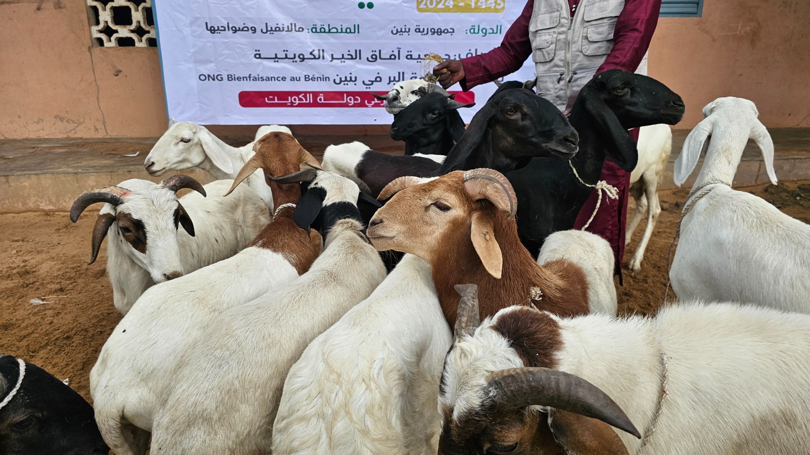 اضاحي لصالح مركز سعود عبد الله وحرمه